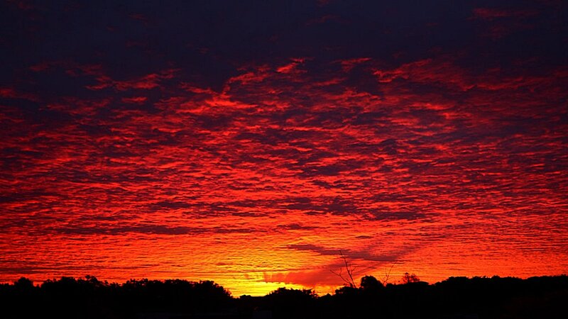 Red Sky at Sunset — Dramatic, Photograph, Clouds, Trees, Sun