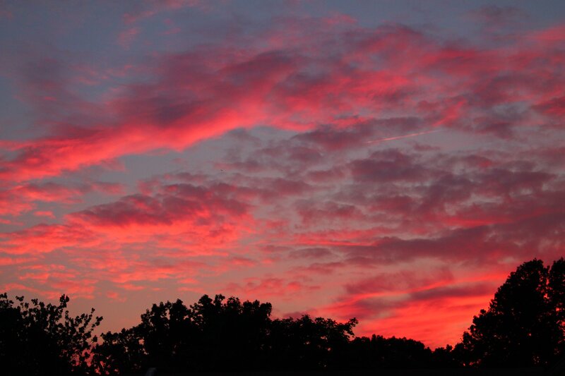 Red Sky at Sunset — Dramatic, Photograph, Clouds, Trees