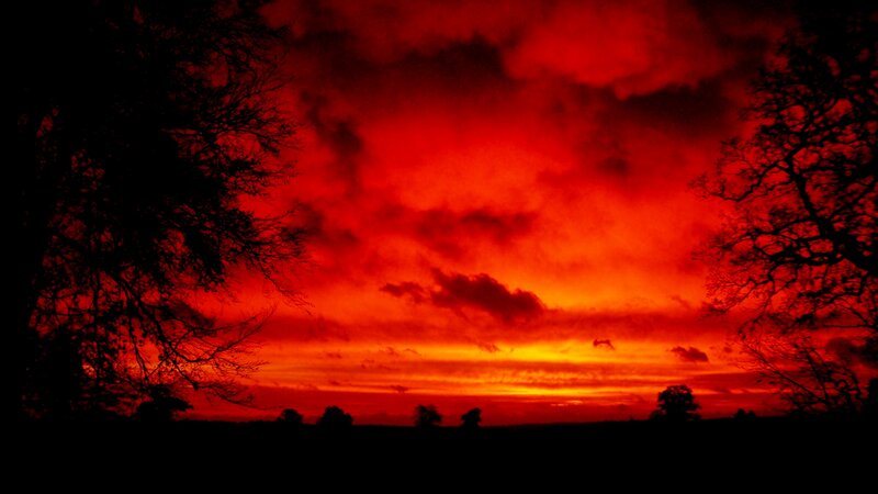 Red Sky at Sunset — Dramatic, Photograph, Trees