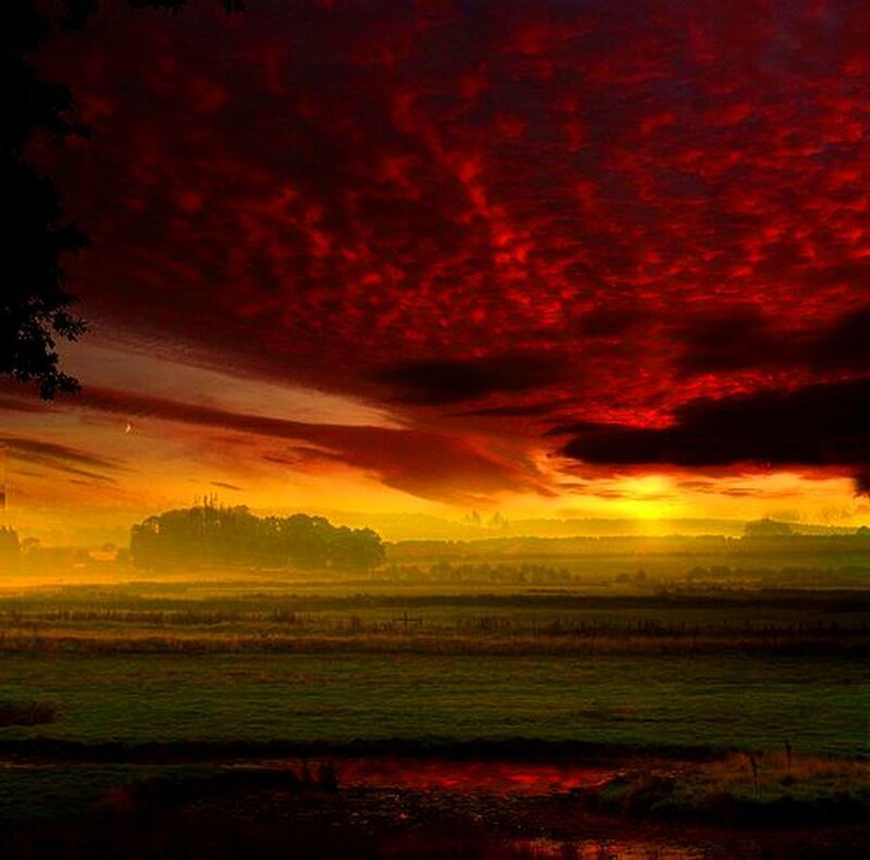 Red Sky over Field