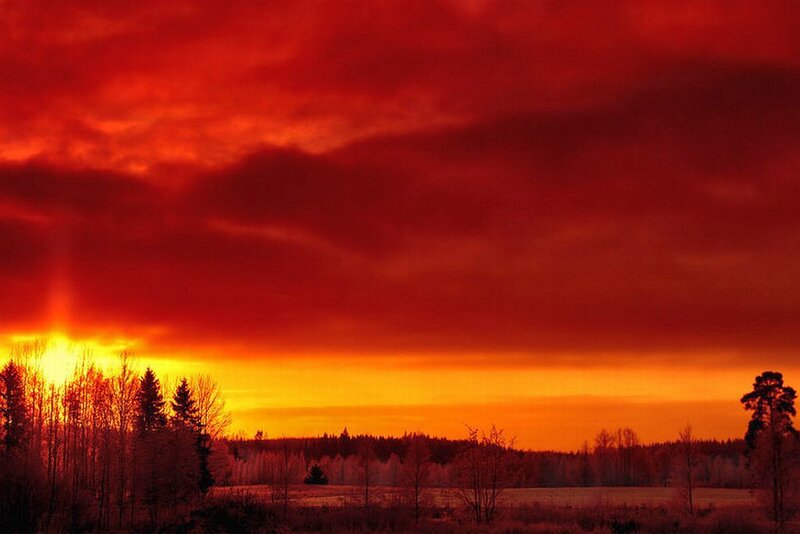 Red Sky over Forest — Dramatic