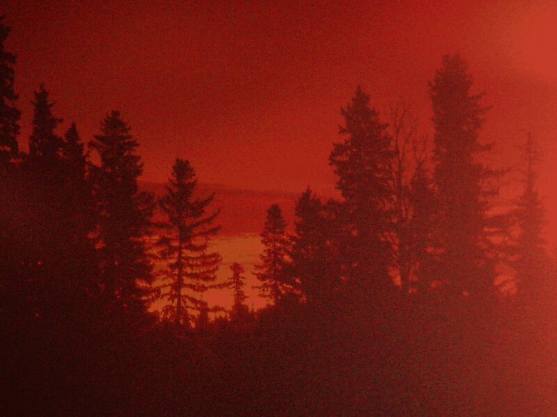 Red sky over forest