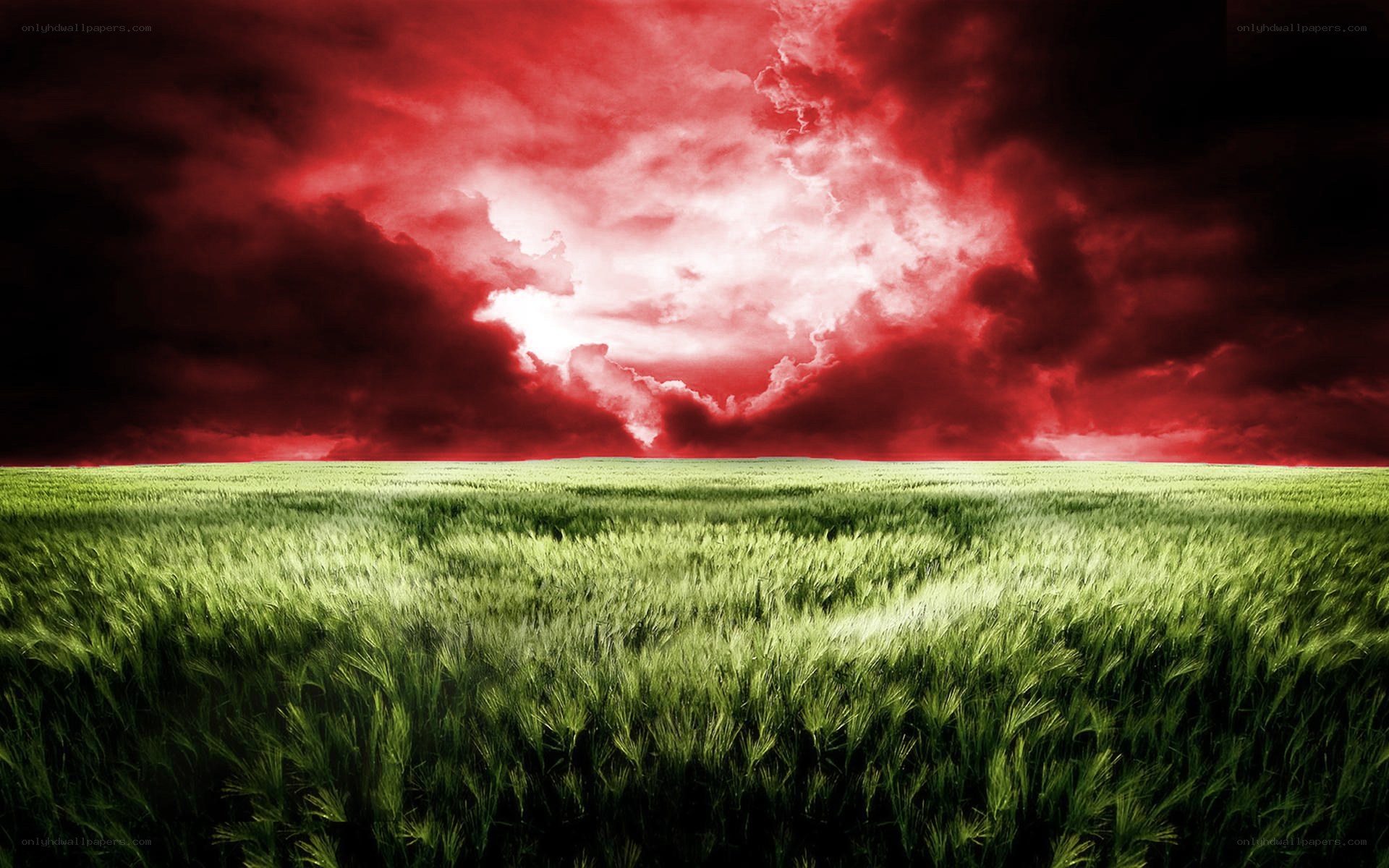 Red Sky Over Green Field