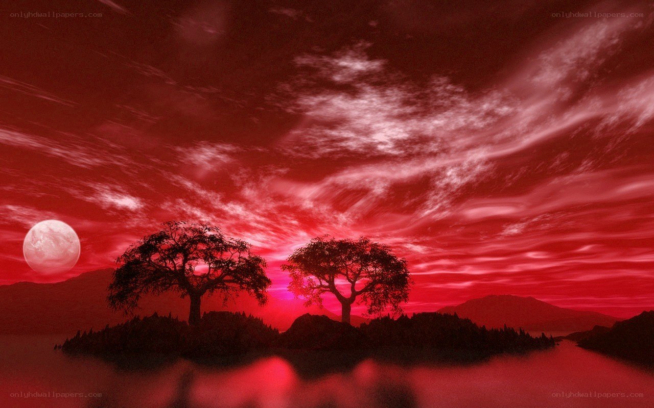 Red sky over silhouetted trees