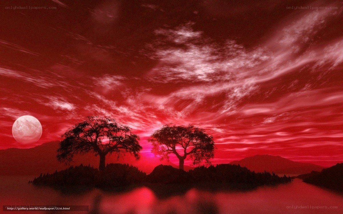Red sky over silhouetted trees