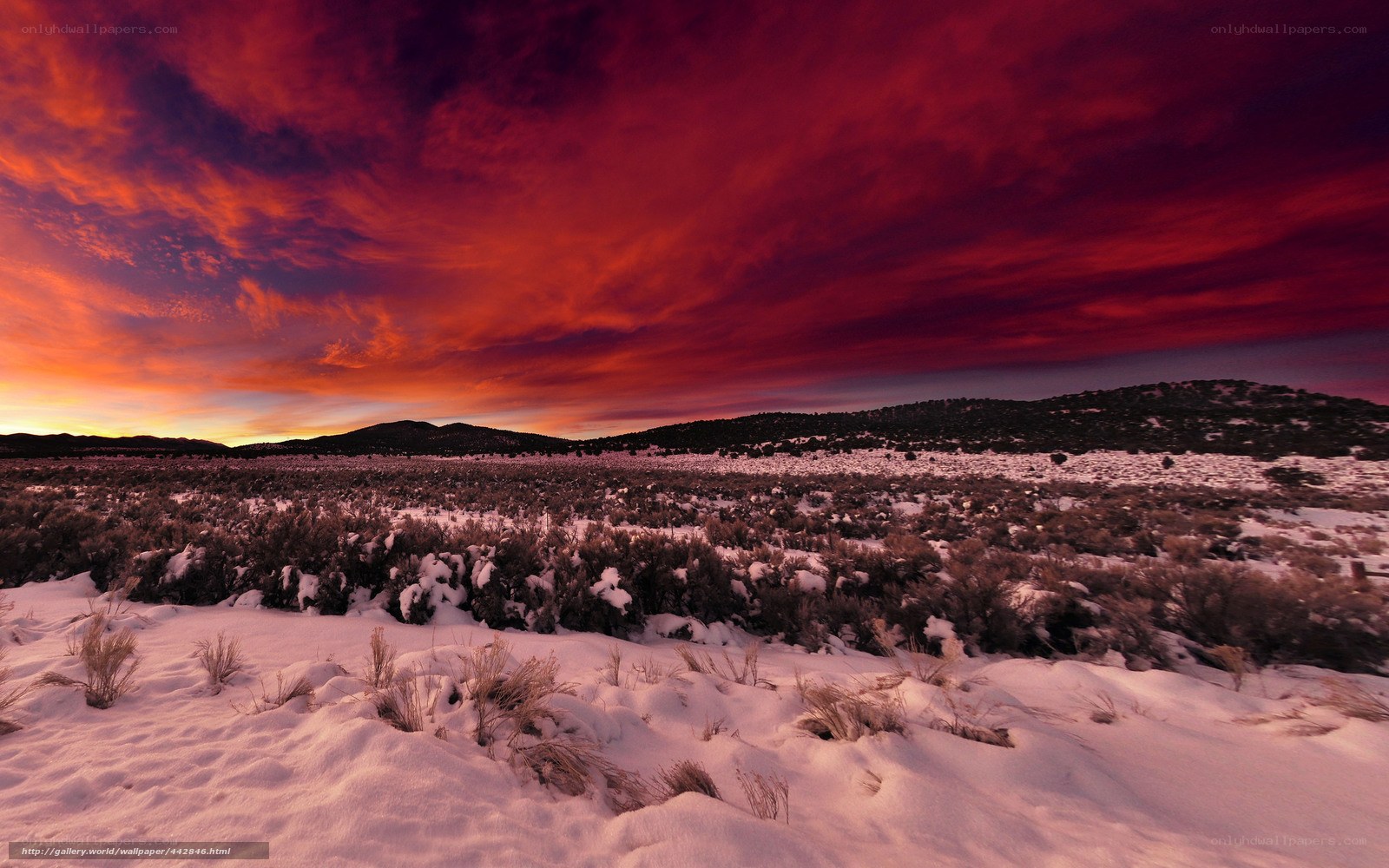 Red Sky Over Snowy Landscape