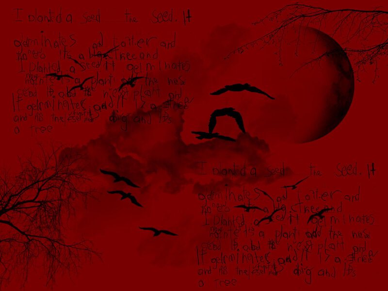 Red sky with birds and text