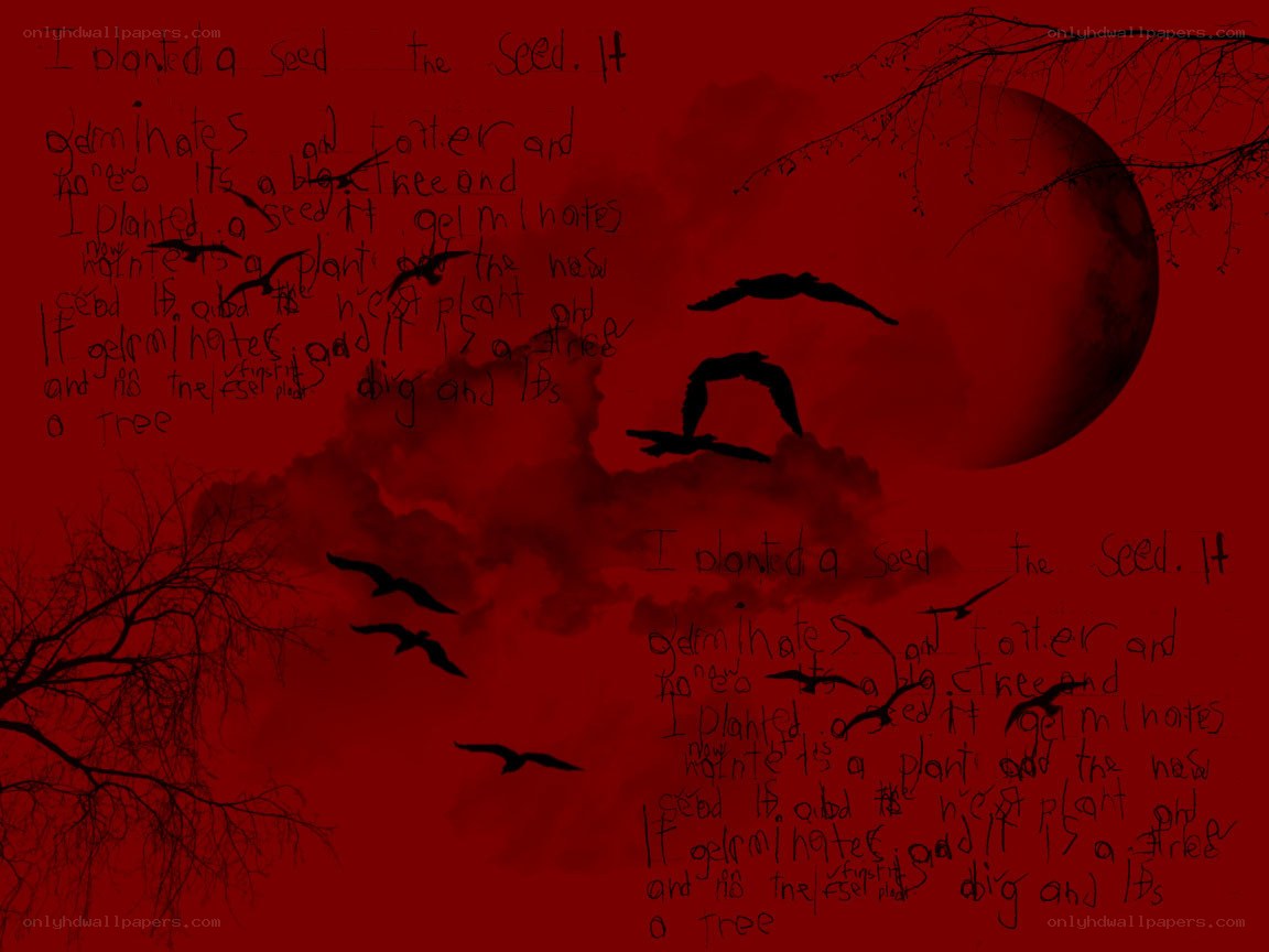 Red sky with birds and text