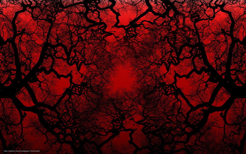 Red sky with tree silhouettes