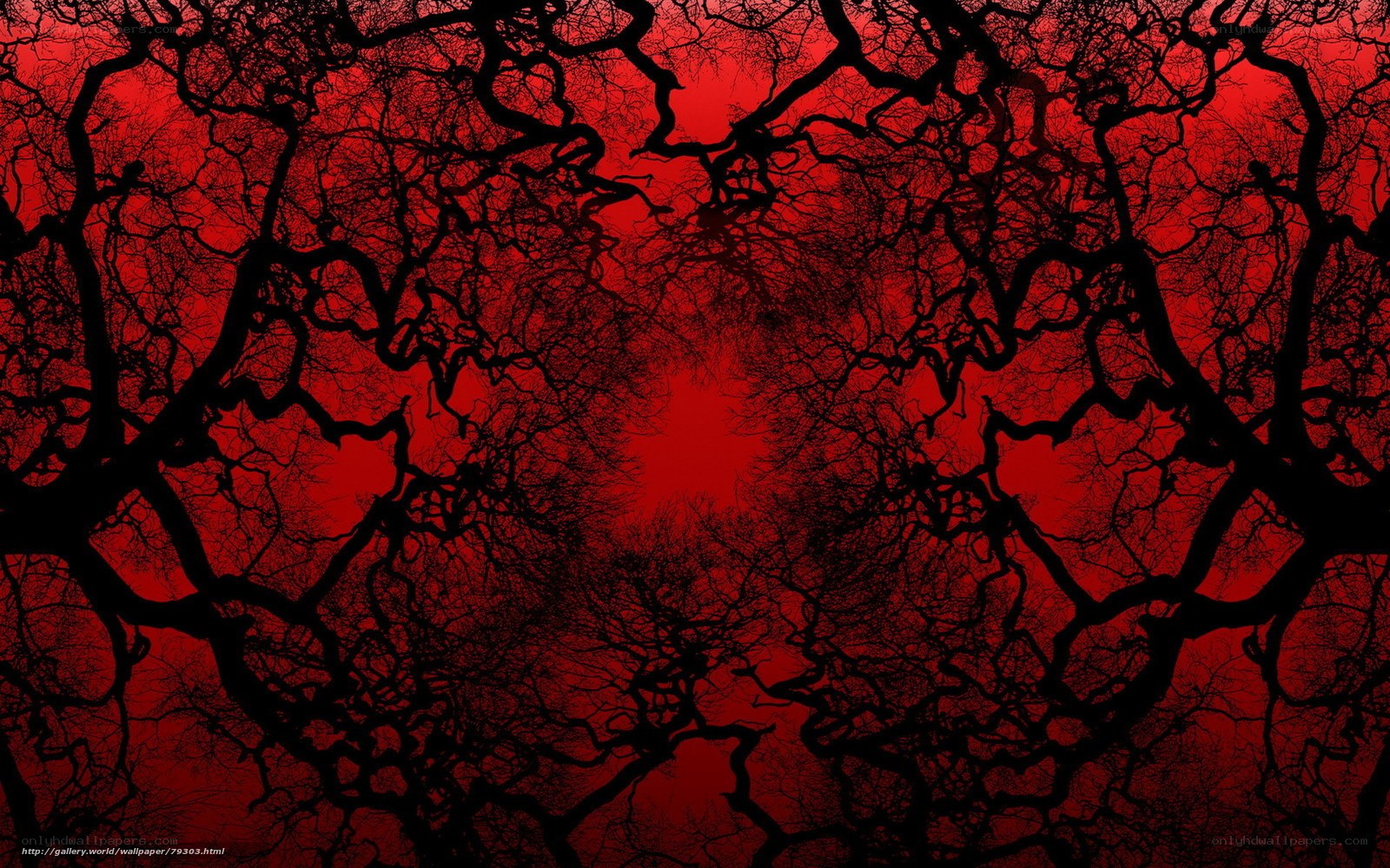 Red sky with tree silhouettes