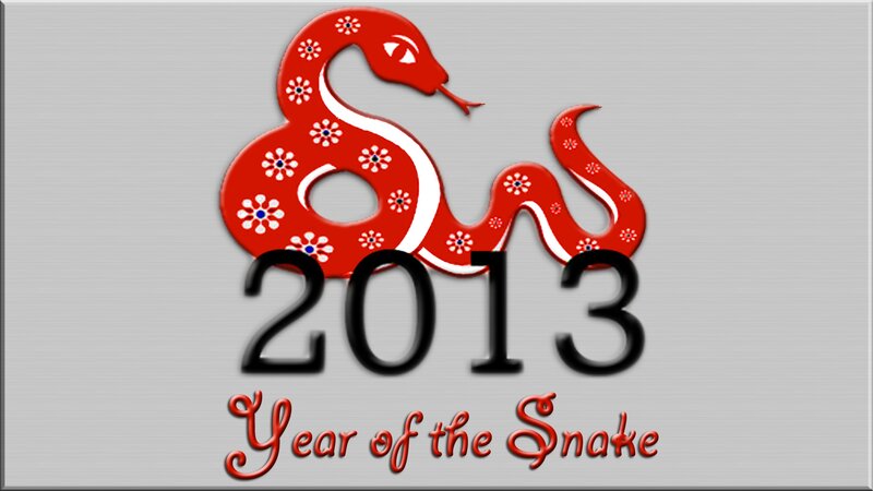 Red Snake Design