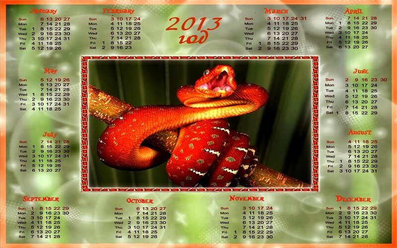 Red Snake on Branch