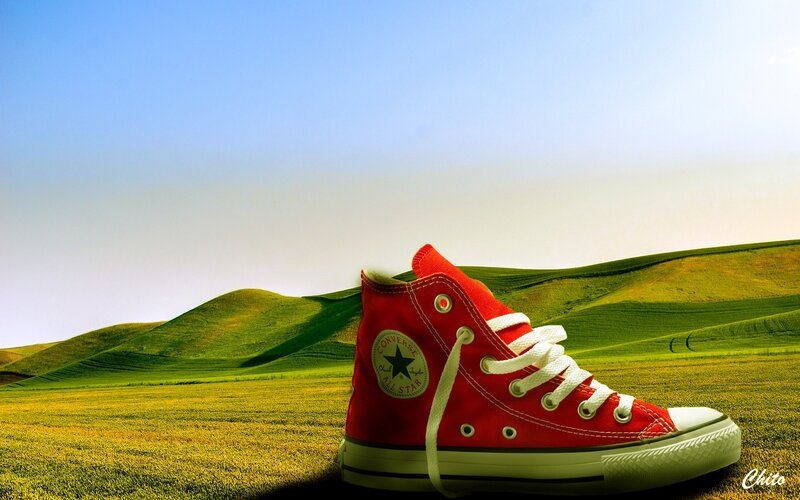Red sneaker on green hills