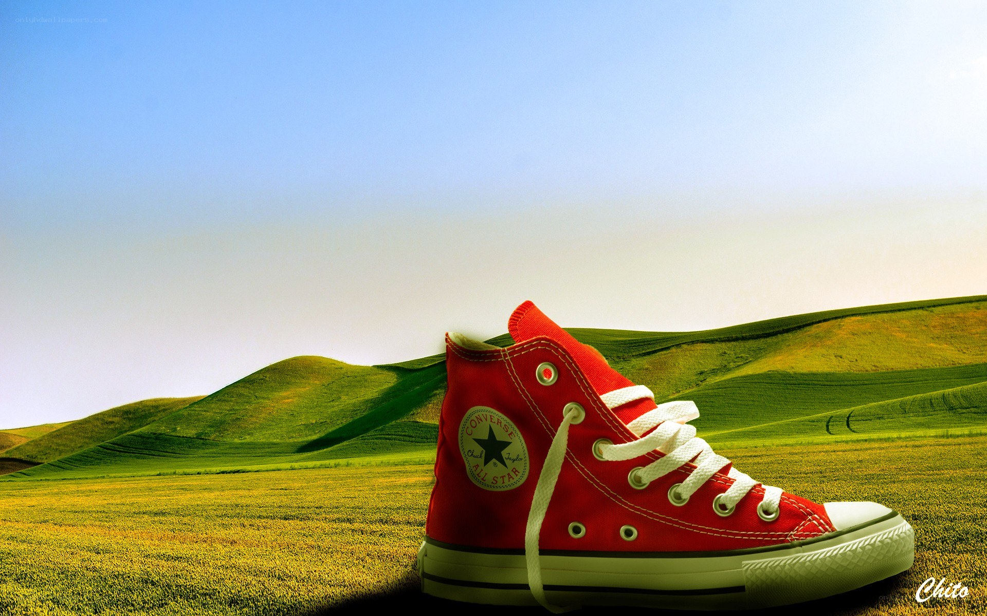 Red sneaker on green hills