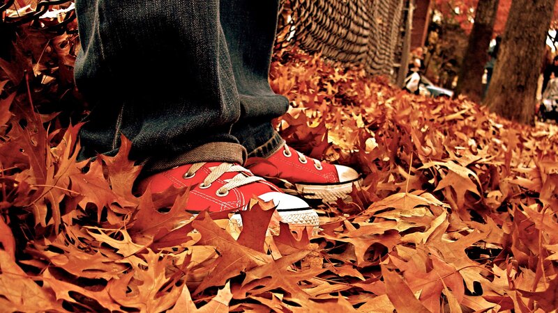 red sneakers in autumn leaves