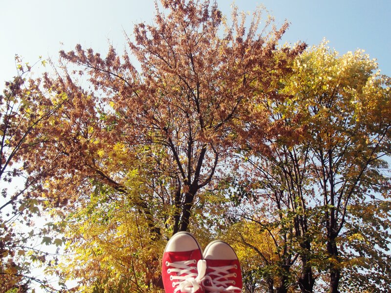 Red Sneakers in Autumn