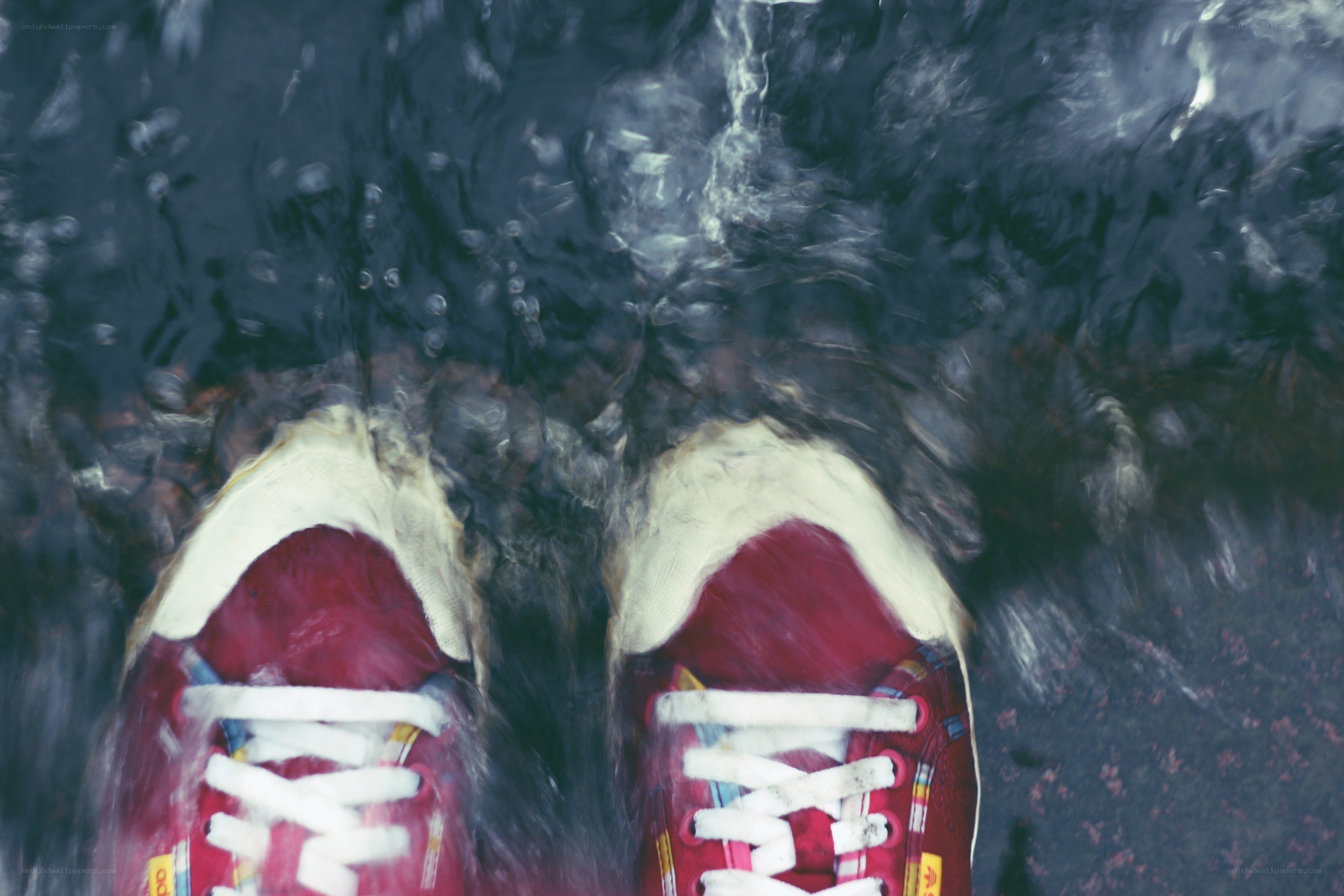 red sneakers in water