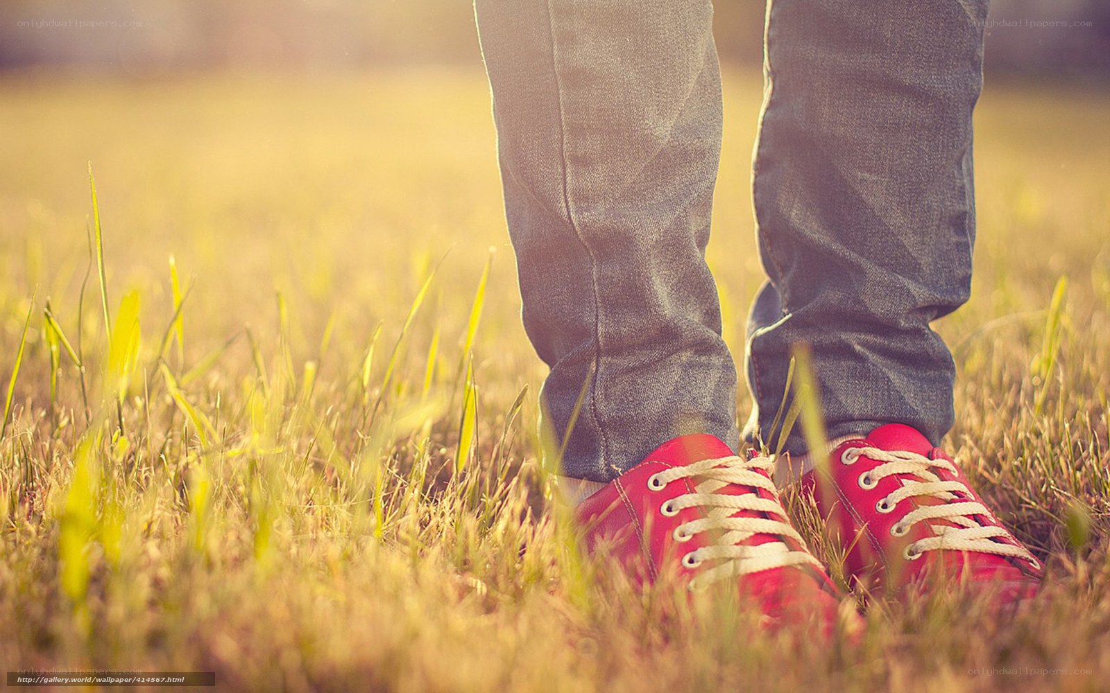 red sneakers on grass