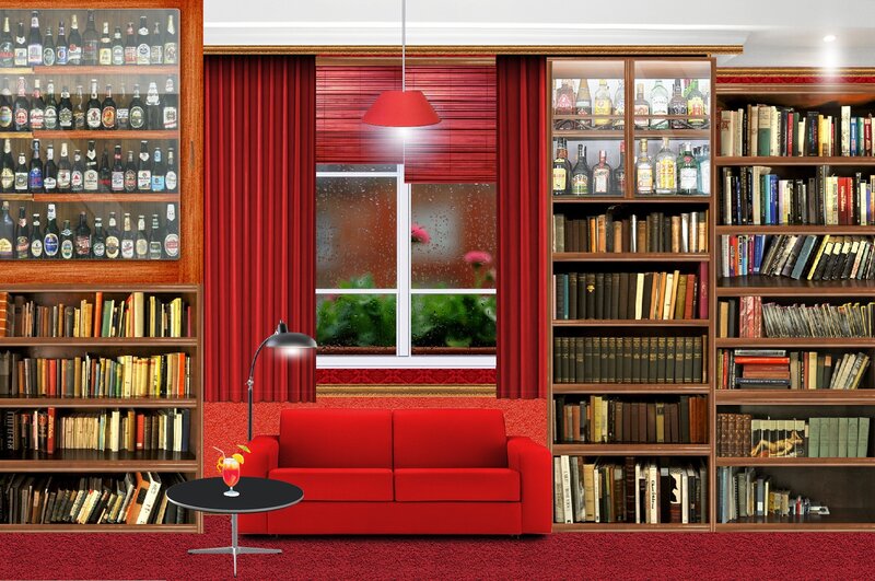 Red Sofa in Library