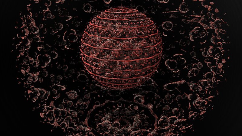 Red Spherical Virus