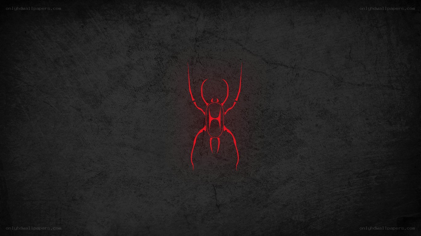 red spider logo on dark background