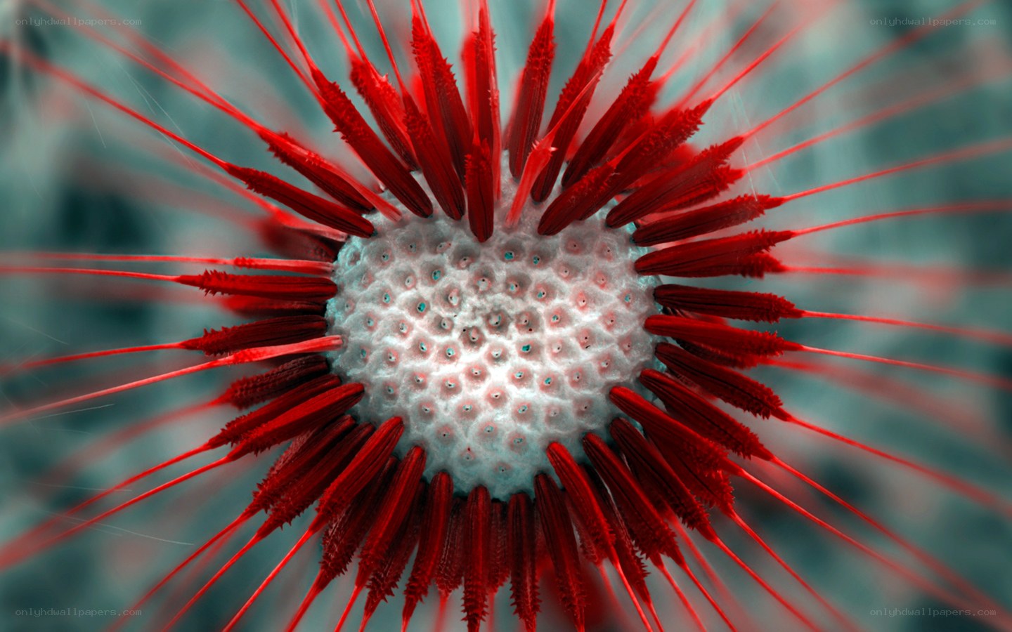 Red spiky microorganism
