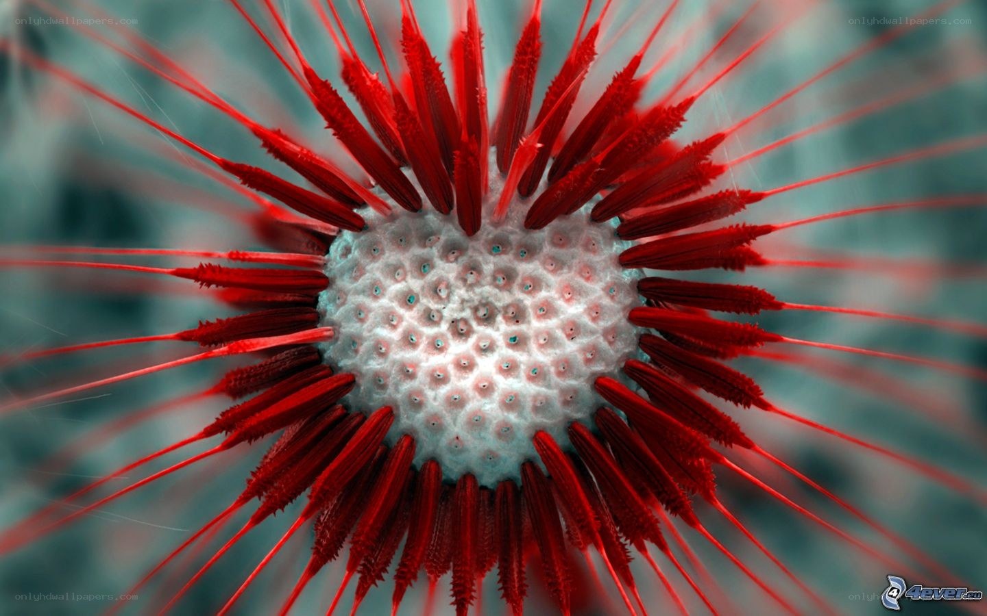 red spiky microorganism