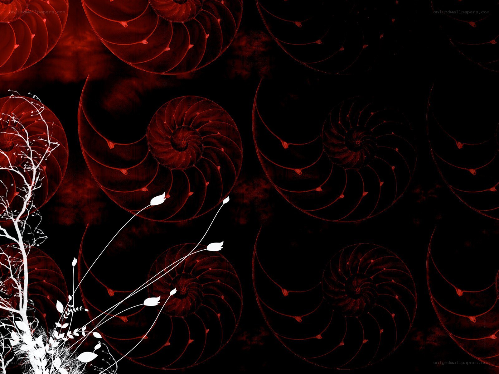 Red spiral shells with white plants