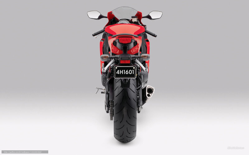 Red Sport Motorcycle — Neutral, Photograph, Rear View