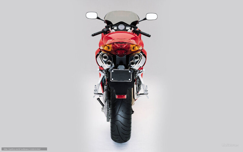 red sport motorcycle rear view