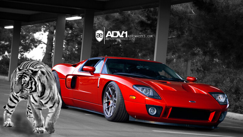 Red Sports Car and Tiger