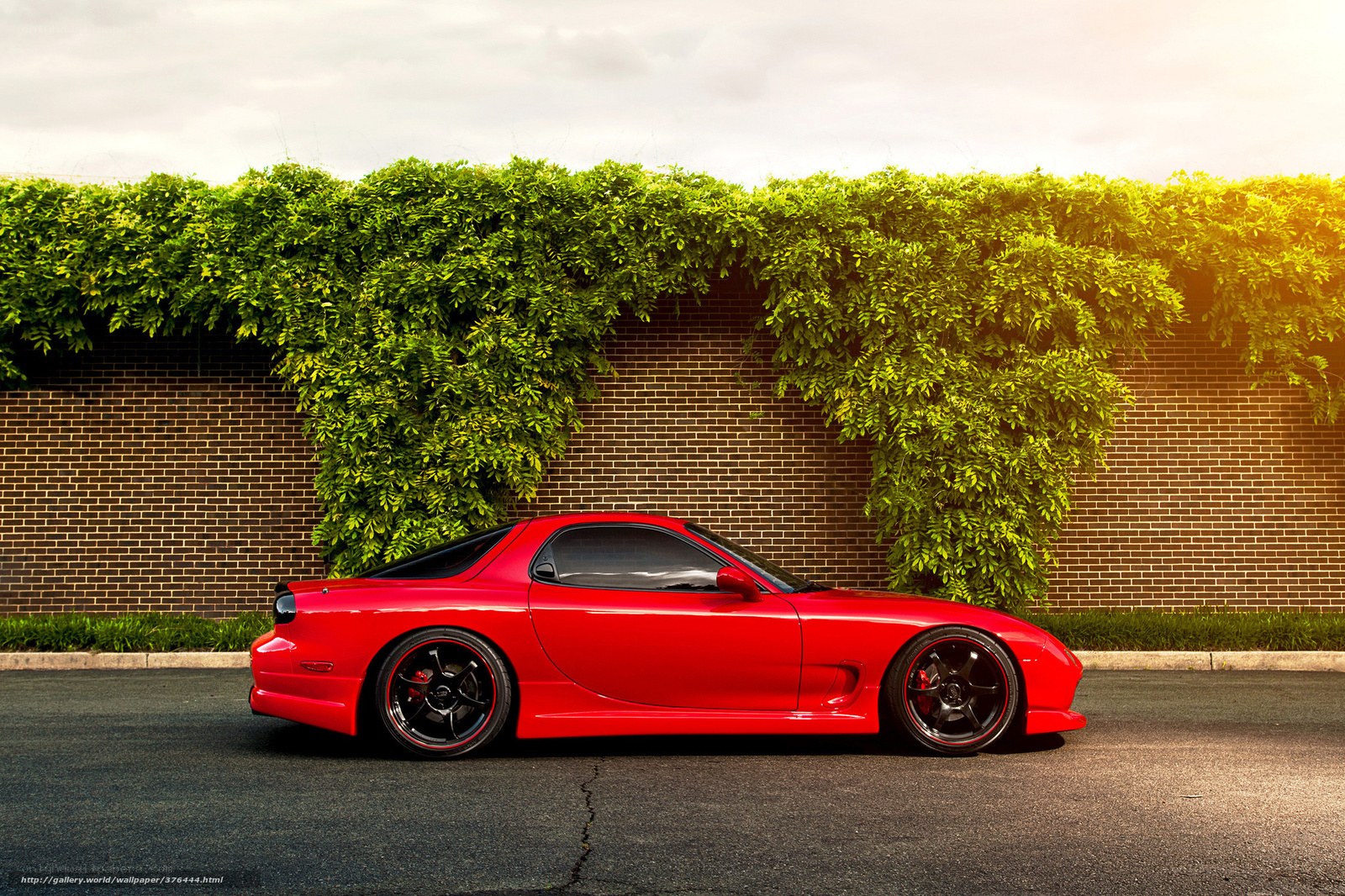 Red sports car by green wall