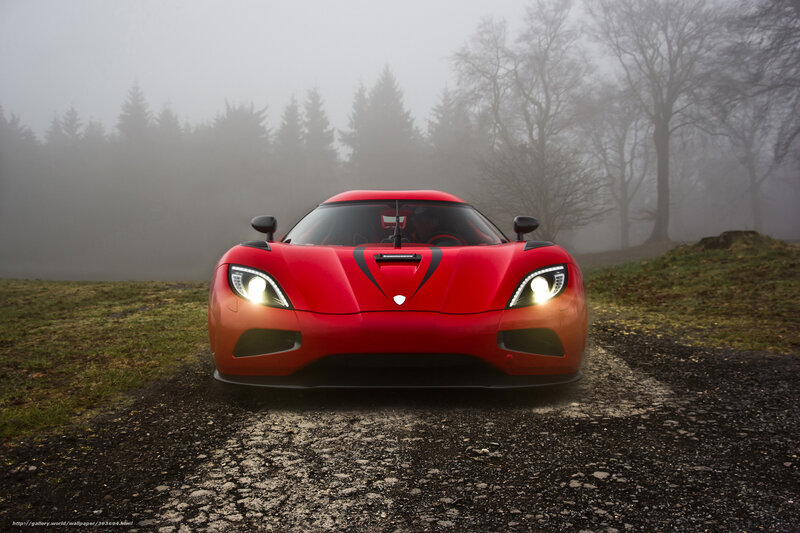 Red Sports Car — Dramatic, Morning, Photograph, Fog, Trees