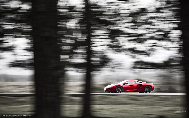 Red Sports Car — Dynamic, Photograph, Trees
