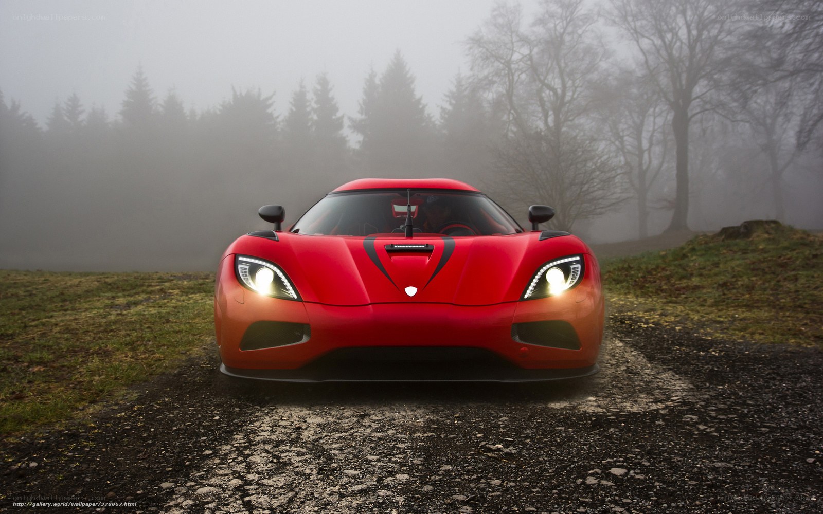 Red sports car in fog