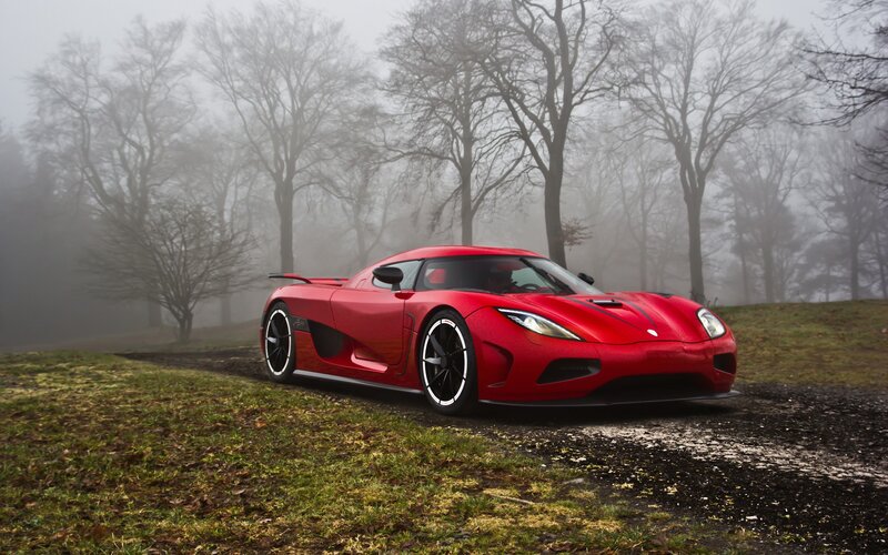 Red sports car in foggy forest