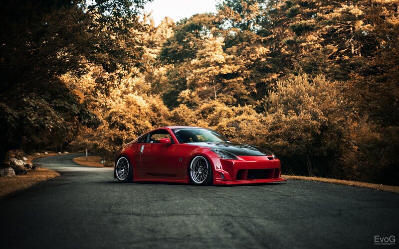 Red sports car on a forest road