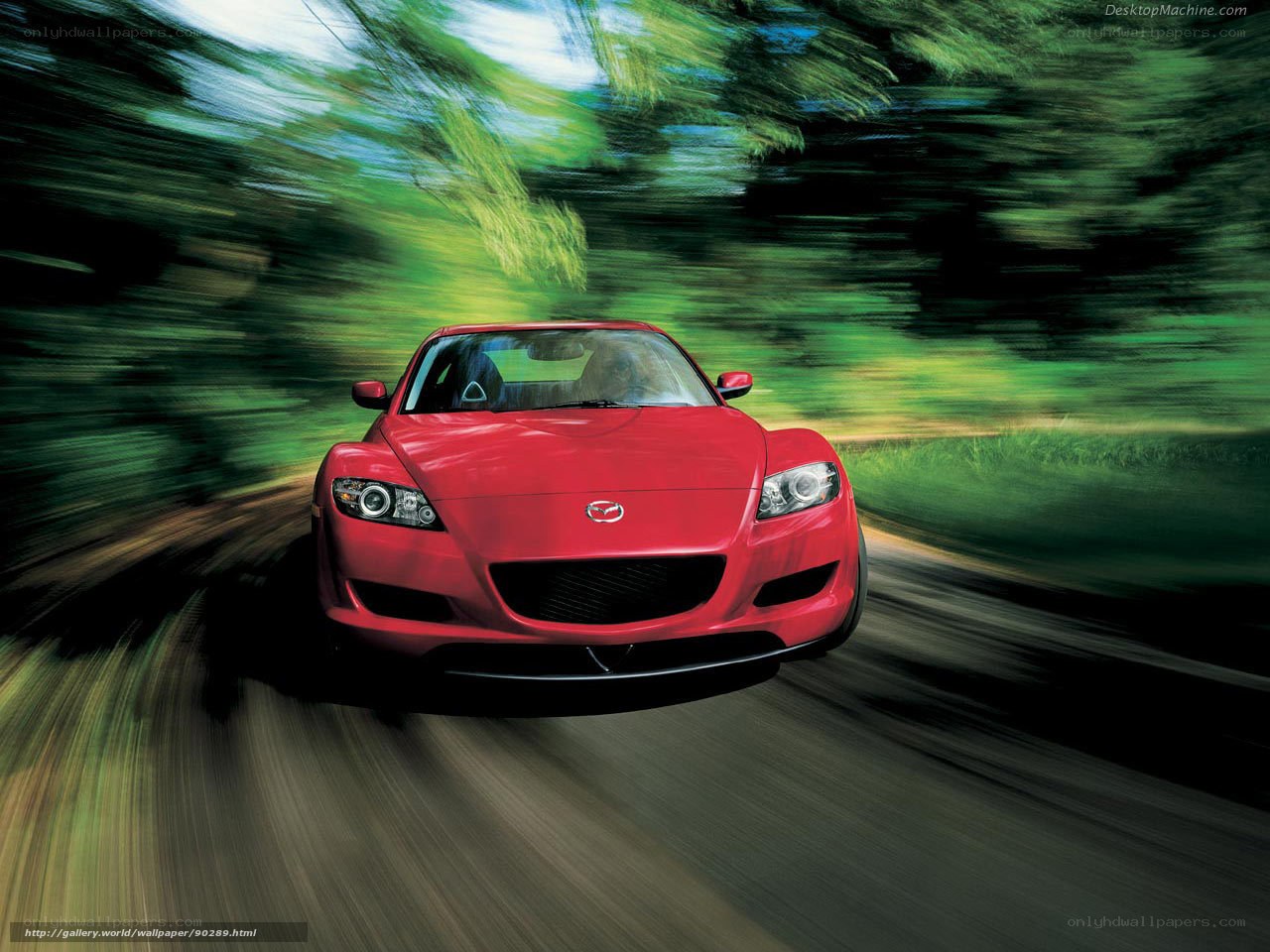 Red sports car on a forest road