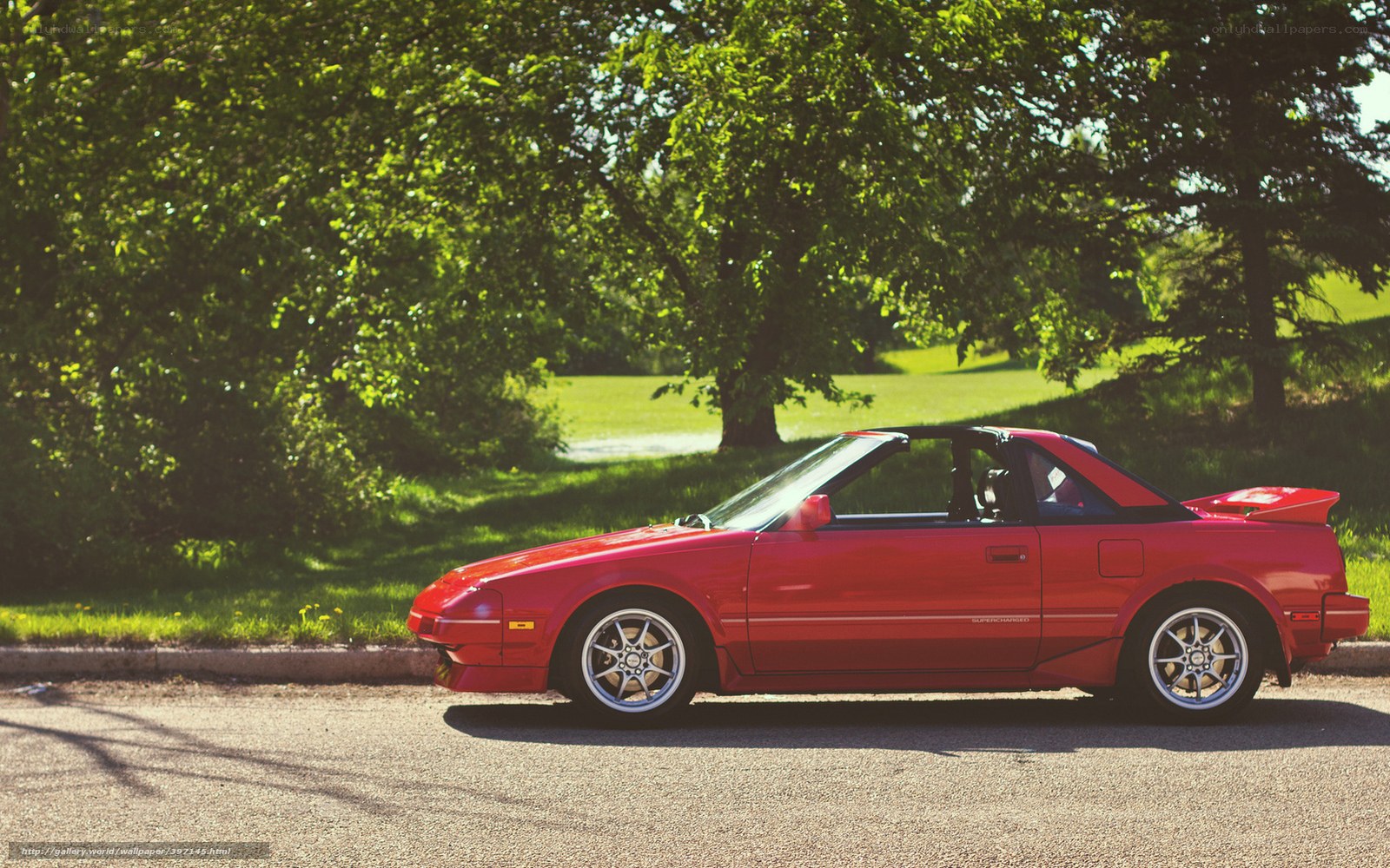 Red sports car on a sunny day