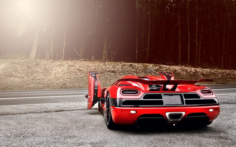 red sports car on forest road