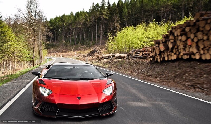 Red sports car on forest road