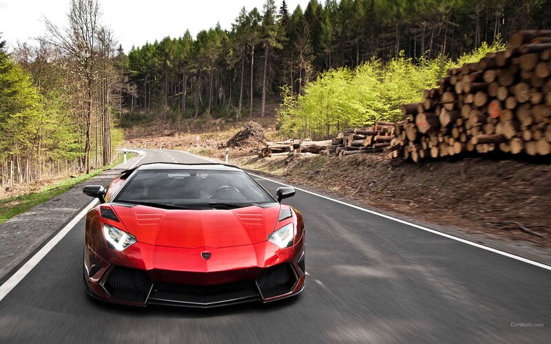 red sports car on forest road
