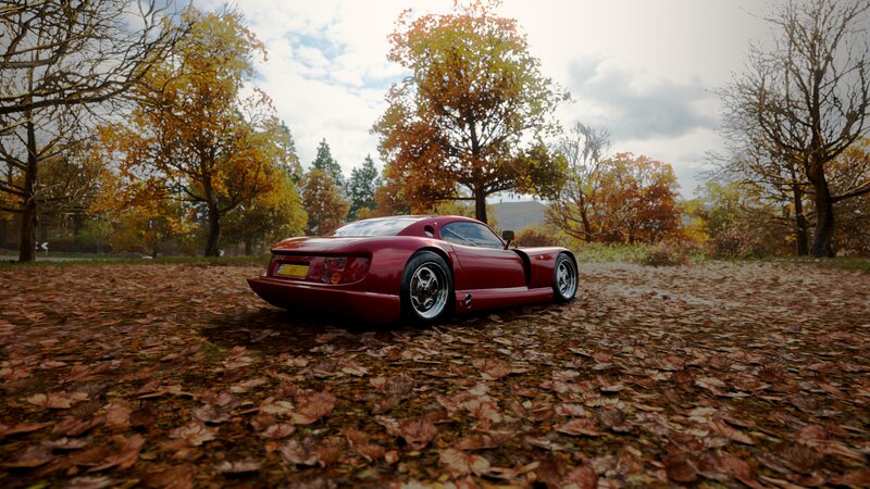 Red Sports Car on Leaves