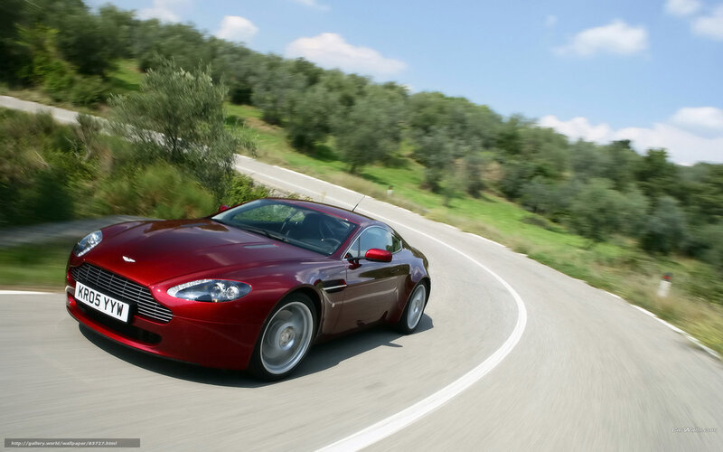Red Sports Car on Road — Dynamic, Afternoon, Photograph, Trees, Sky