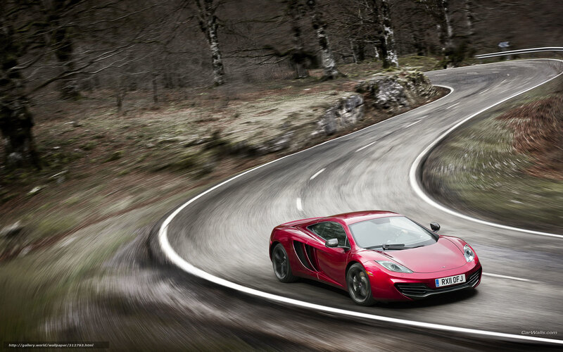 Red Sports Car on Road — Dynamic, Autumn, Photograph, Trees