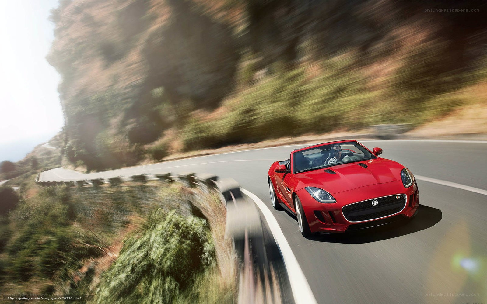 Red sports car on winding road