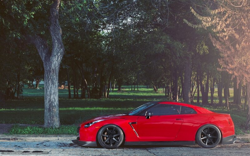 Red Sports Car — Serene, Afternoon, Photograph, Trees, Park