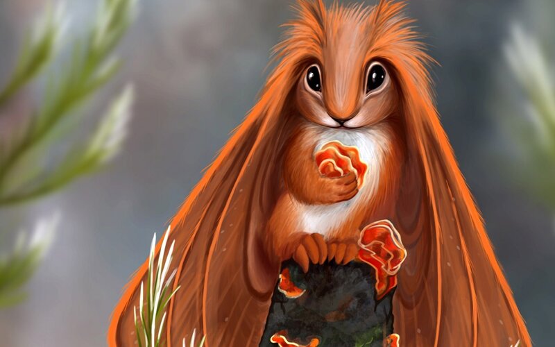 Red Squirrel Eating Mushroom