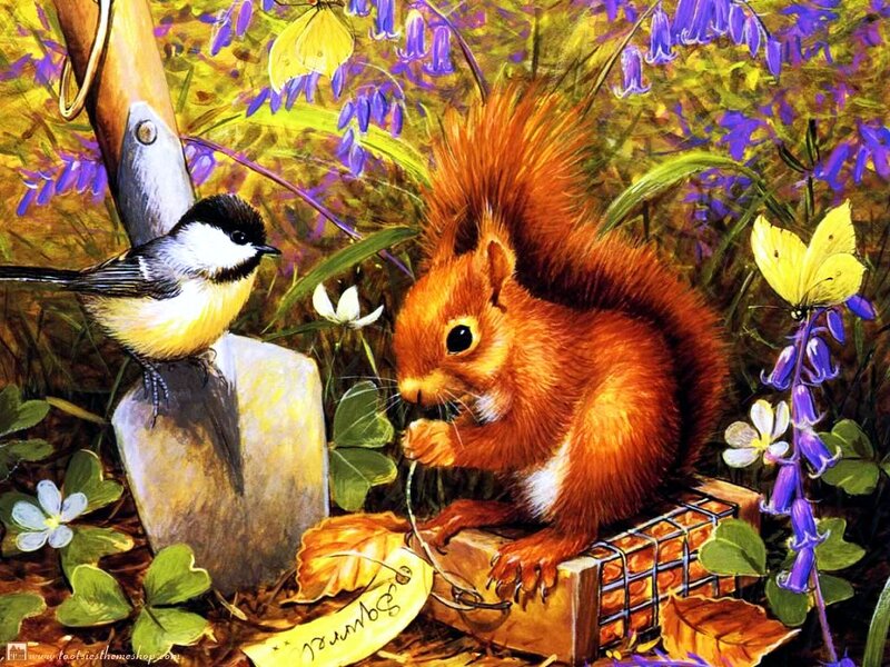 Red Squirrel Eating — Orange, Peaceful