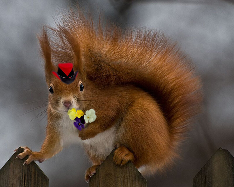 Red Squirrel with Flowers